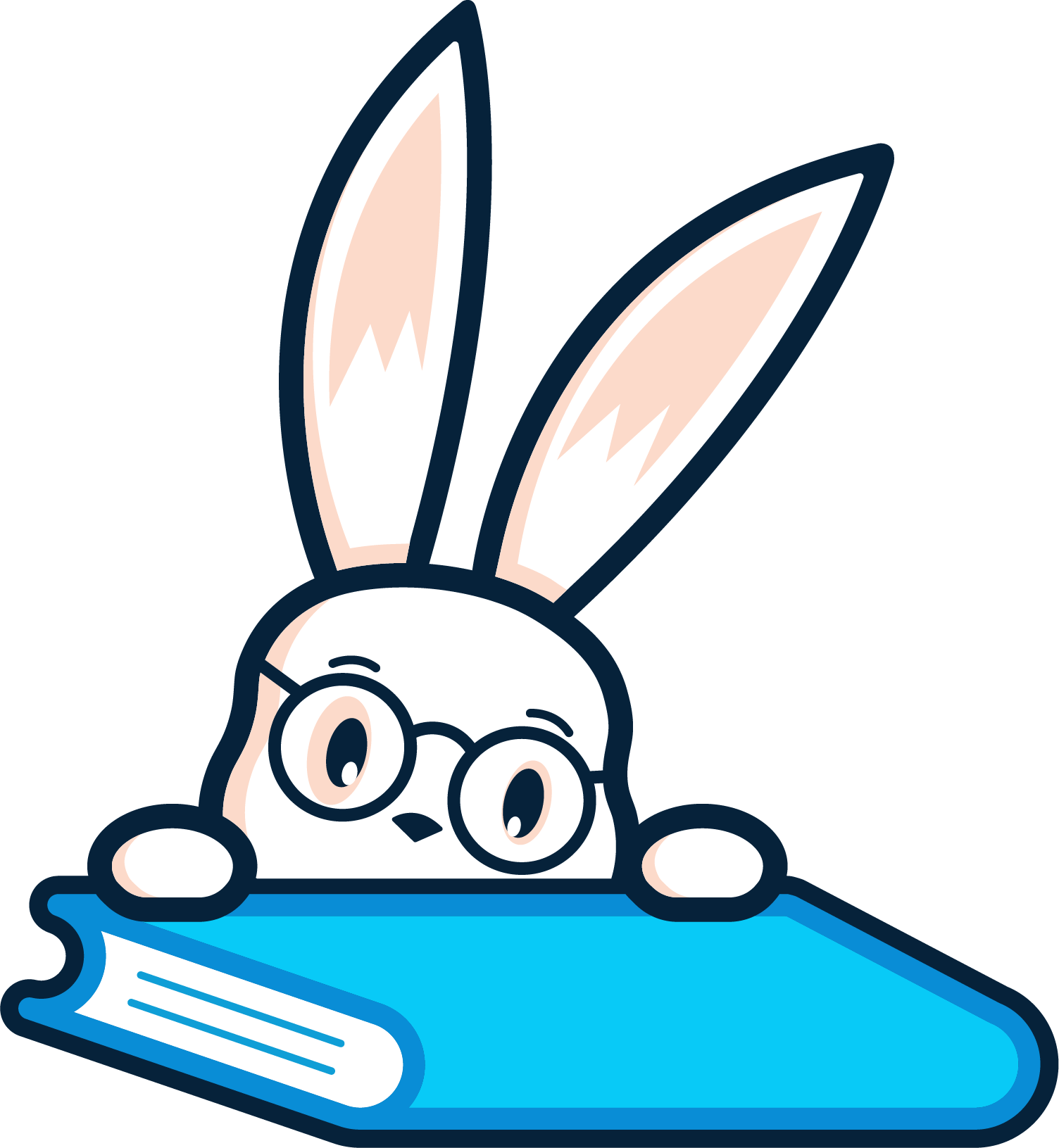 Accounting Rabbit Icon